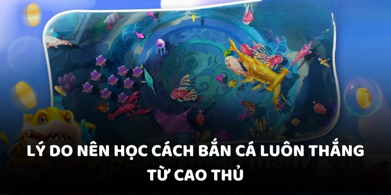 Lý do nên học cách bắn cá luôn thắng từ cao thủ